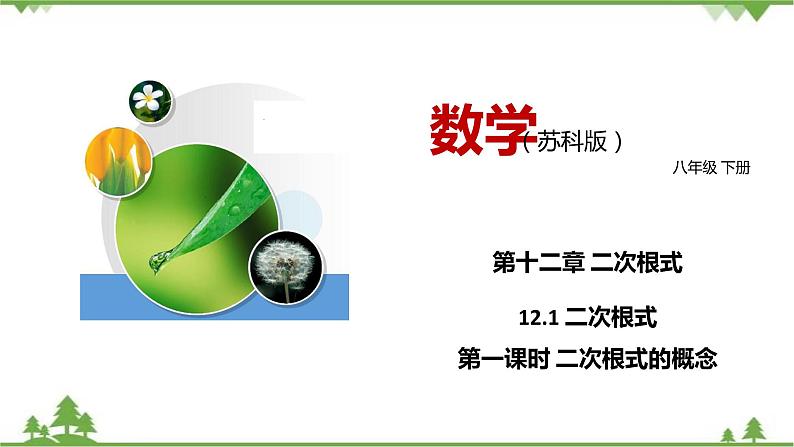 12.1 二次根式 （第一课时 二次根式的概念）-八年级数学下册  同步教学课件（苏科版）01