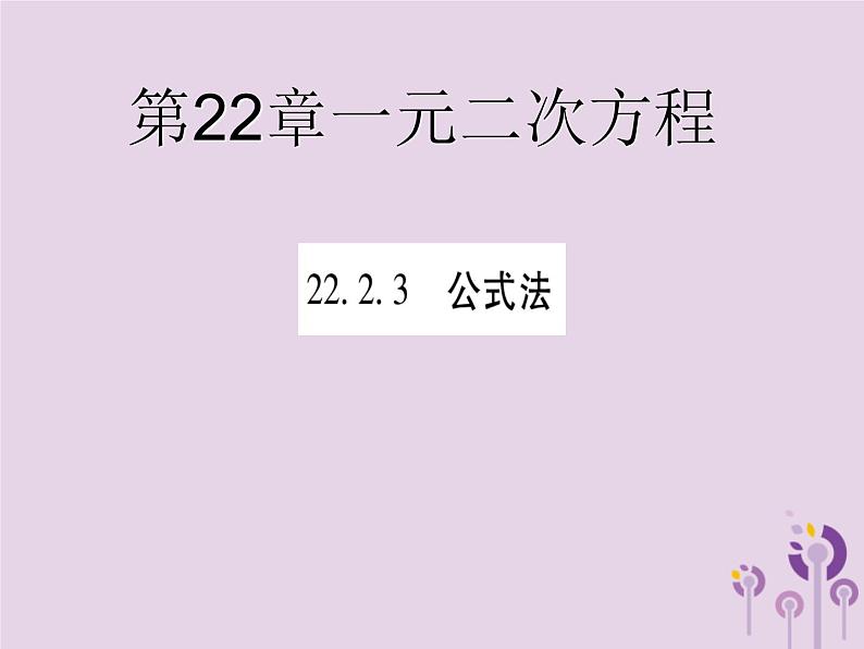 22.2.3公式法 华师大版数学九年级上册 课件201