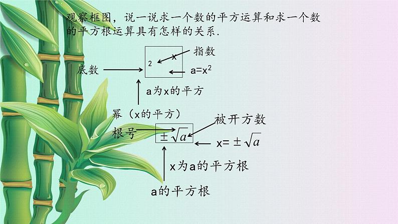 冀教版八年级上册数学  第十四章  实数《平方根》课件07