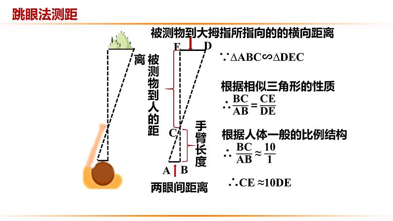 华师大版数学九年级上册 23.3.4相似三角形的应用  课件403