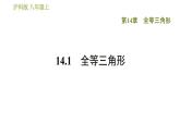 滬科版八年級上冊數(shù)學(xué)習(xí)題課件 第14章 14.1  全等三角形
