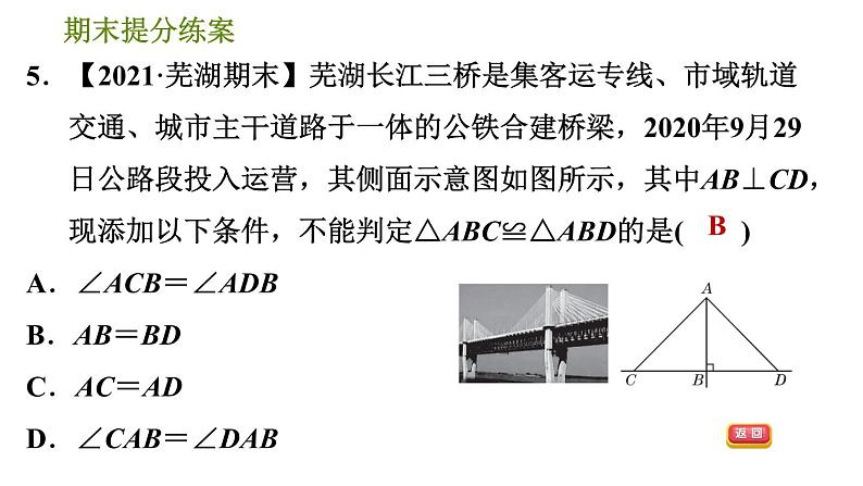 沪科版八年级上册数学习题课件 期末提分练案 第6课时　全等三角形的判定与性质08