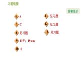 沪科版八年级上册数学习题课件 第15章 15.2　线段的垂直平分线