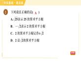 蘇科版八年級上冊數(shù)學習題課件 第4章 4.1.2算術(shù)平方根