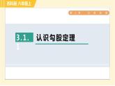 蘇科版八年級上冊數(shù)學(xué)習(xí)題課件 第3章 3.1.1認(rèn)識勾股定理