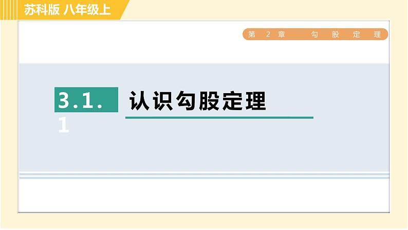 苏科版八年级上册数学习题课件 第3章 3.1.1认识勾股定理01