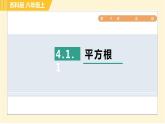 蘇科版八年級上冊數(shù)學(xué)習(xí)題課件 第4章 4.1.1平方根