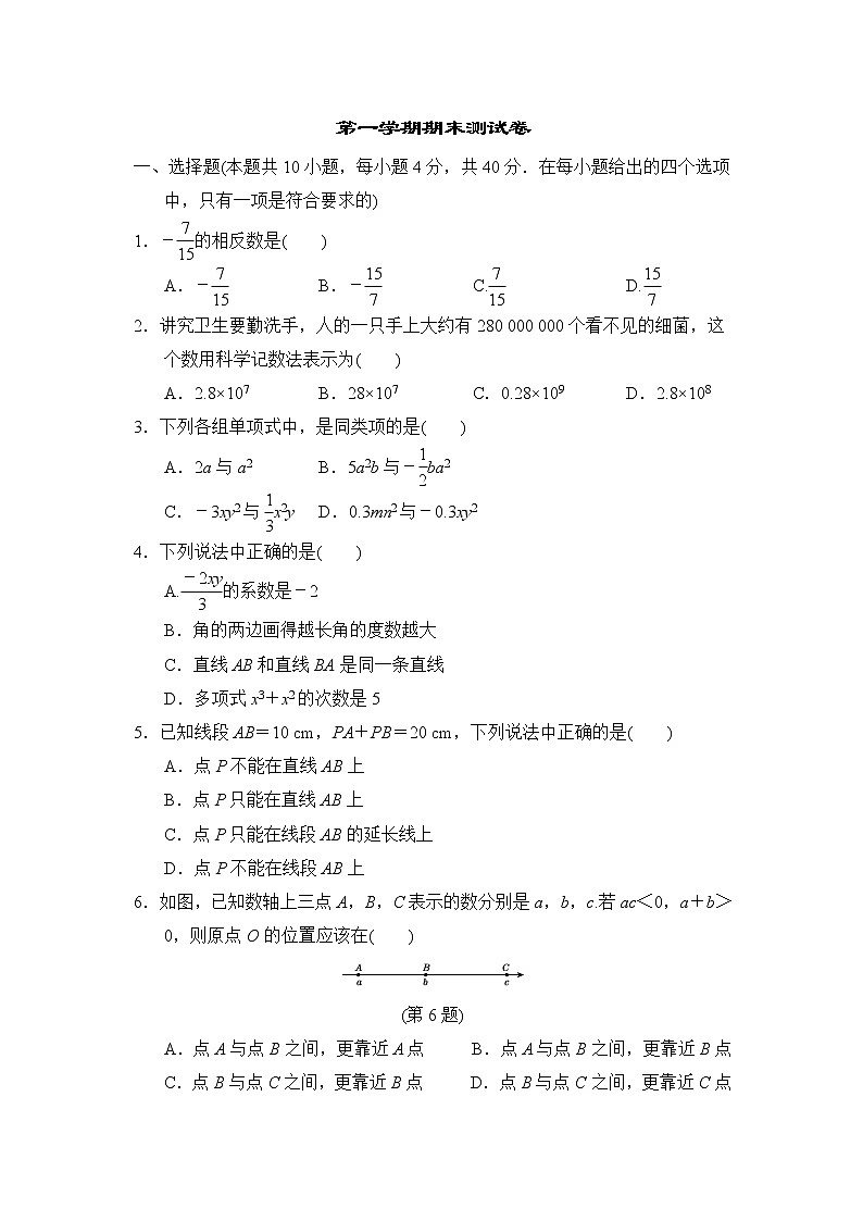 华师版七年级上册数学 第一学期期末测试卷01