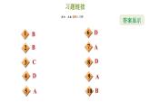 冀教版八年级上册数学习题课件 期末复习专练 专题一　分式和分式方程