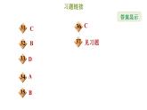 冀教版八年級(jí)上冊(cè)數(shù)學(xué)習(xí)題課件 第17章 提分專項(xiàng)(十三)  三角形的常見計(jì)算和證明