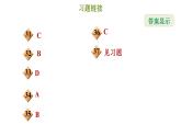 冀教版八年级上册数学习题课件 第17章 提分专项(十三)  三角形的常见计算和证明