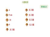 冀教版八年级上册数学习题课件 期末复习专练 专题四　轴对称和中心对称