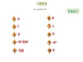 冀教版八年級(jí)上冊(cè)數(shù)學(xué)習(xí)題課件 第17章 17.1.1  等腰三角形的性質(zhì)定理