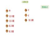 冀教版八年级上册数学习题课件 第17章 第十七章综合复习训练