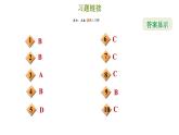 冀教版八年级上册数学习题课件 期末复习专练 专题五　特殊三角形(基础)