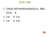 冀教版八年级上册数学习题课件 期末复习专练 专题五　特殊三角形(基础)