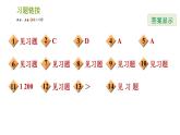 北師版七年級(jí)上冊(cè)數(shù)學(xué)習(xí)題課件 第6章 全章熱門考點(diǎn)整合專訓(xùn)