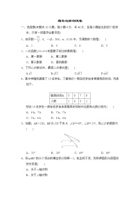 北师版八年级上册数学 期末达标测试卷