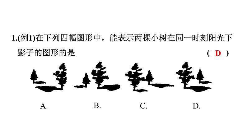 第五章投影与视图 第1课　投影的定义和分类 习题课件 2021-2022北师大版九年级数学上册04