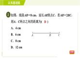 北师版七年级上册数学 第4章 4.2目标一 线段的性质 习题课件