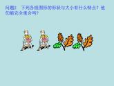 1.2 全等三角形  课件  2021—2022学年苏科版数学八年级上册