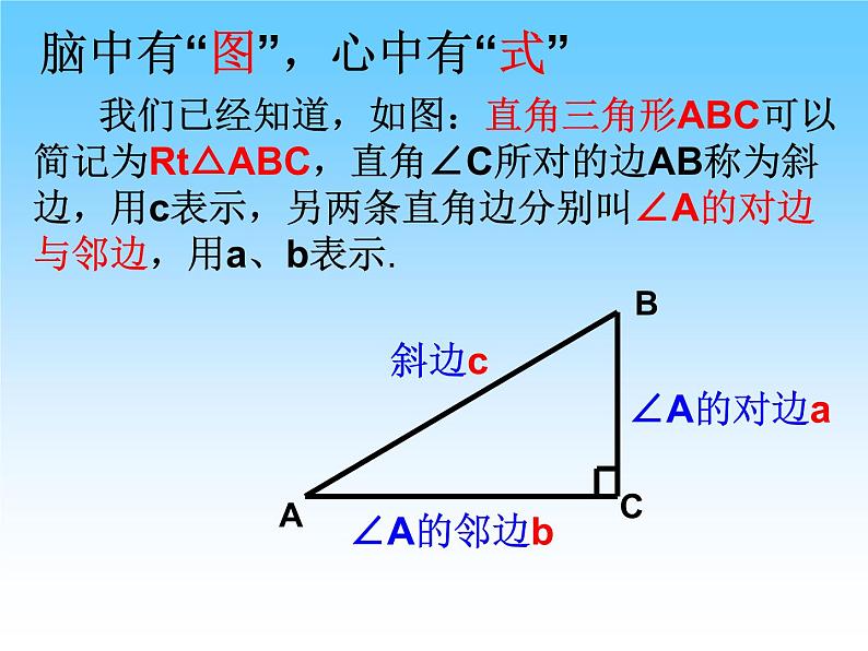 华东师大版数学九年级上册 24.3.1锐角三角函数 课件02