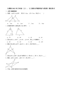 数学八年级上册第十二章 全等三角形综合与测试练习题