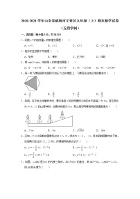 山东省威海市文登区2020-2021学年九年级上学期期末数学试卷（五四学制）（word版含答案）