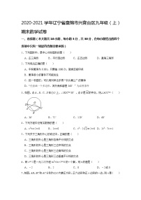 辽宁省盘锦市兴隆台区2020-2021学年九年级上学期期末数学试卷（word版含答案）