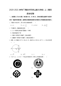 广西钦州市灵山县2020-2021学年九年级上学期期末数学试卷（word版含答案）