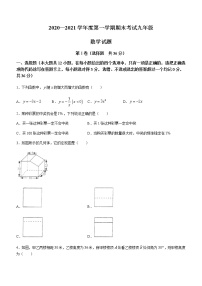 山东省济南市莱芜区2020-2021学年九年级上学期期末数学试题（word版含答案）