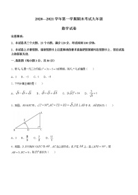 河南省洛阳市嵩县2020-2021学年九年级上学期期末数学试题（word版含答案）