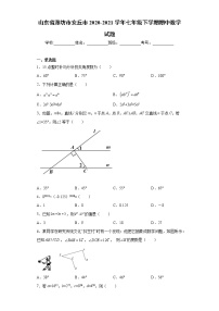 山东省潍坊市安丘市2020-2021学年七年级下学期期中数学试题(word版含答案)