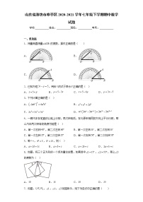 山东省潍坊市寒亭区2020-2021学年七年级下学期期中数学试题(word版含答案)