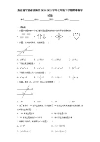 浙江省宁波市镇海区2020-2021学年七年级下学期期中数学试题(word版含答案)