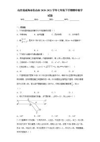 山东省威海市乳山市2020-2021学年七年级下学期期中数学试题(word版含答案)