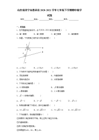 山东省济宁市嘉祥县2020-2021学年七年级下学期期中数学试题(word版含答案)