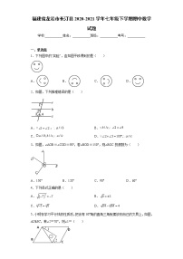 福建省龙岩市长汀县2020-2021学年七年级下学期期中数学试题(word版含答案)