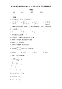 山东省烟台市莱阳市2020-2021学年七年级下学期期中数学试题(word版含答案)