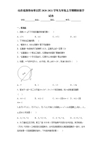 山东省潍坊市奎文区2020-2021学年九年级上学期期末数学试卷(word版含答案)