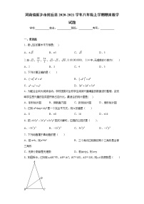 河南省新乡市封丘县2020-2021学年八年级上学期期末数学试题(word版含答案)