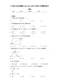 广东省广州市番禺区2020-2021学年七年级下学期期中数学试题（word版 含答案）