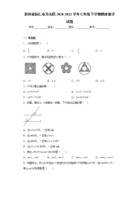 贵州省铜仁市万山区2020-2021学年七年级下学期期末数学试题(word版含答案)