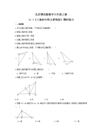 初中数学北京课改版八年级上册第十二章 三角形12.3 三角形中的主要线段同步训练题