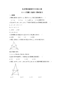 初中数学北京课改版八年级上册12.6 等腰三角形综合训练题