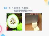 北师大版七年级上册第一章1.3 截一个几何体PPT课件