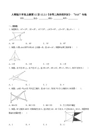 数学八年级上册第十二章 全等三角形12.2 三角形全等的判定一课一练