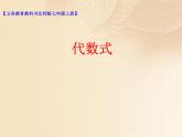 北师大版七年级数学上册 3.2 代数式课件PPT