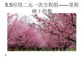北师大版八年级数学上册 5.5 应用二元一次方程组——里程碑上的数课件PPT