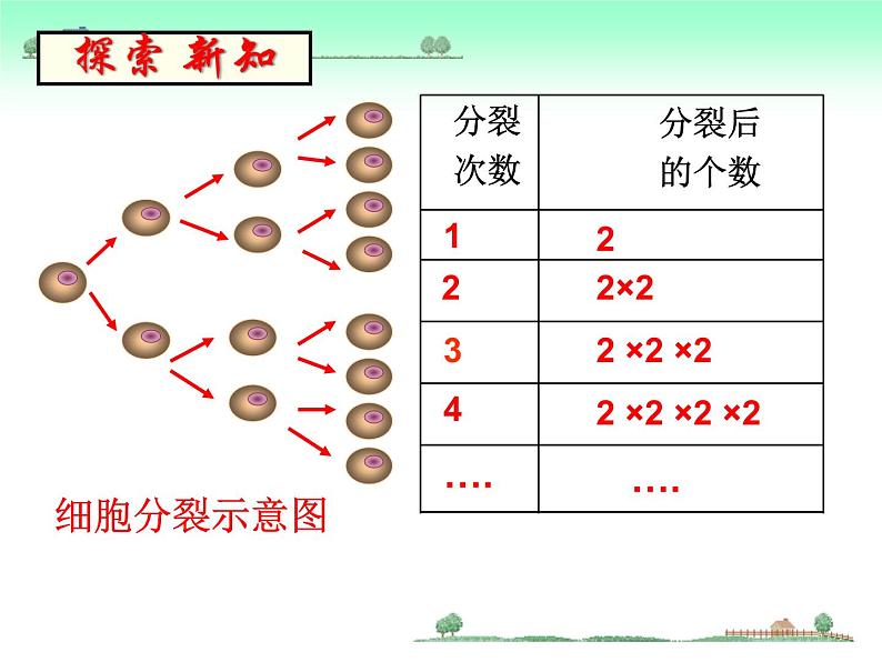 冀教版七年级数学上册 1.10 有理数的乘方课件PPT第4页